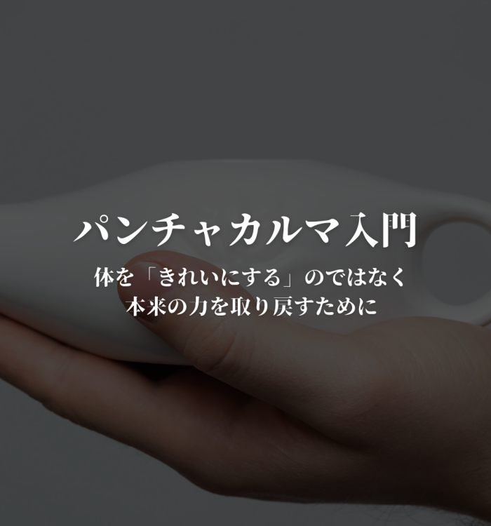 パンチャカルマ入門